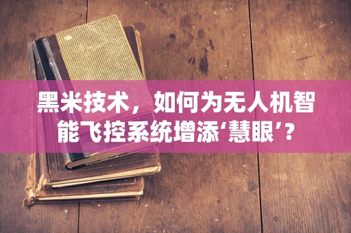黑米技术，如何为无人机智能飞控系统增添‘慧眼’？