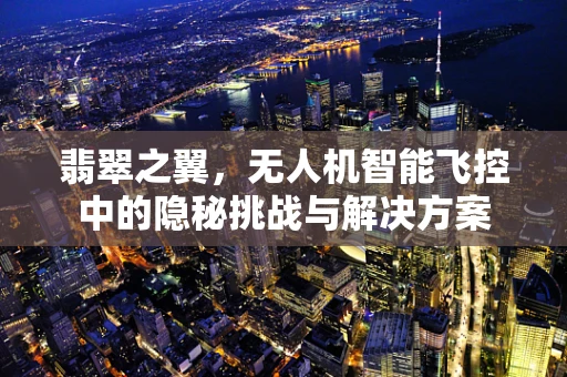 翡翠之翼，无人机智能飞控中的隐秘挑战与解决方案