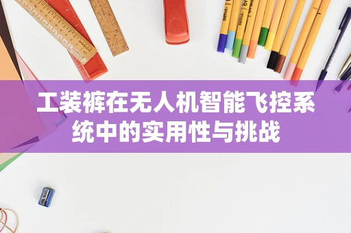 工装裤在无人机智能飞控系统中的实用性与挑战
