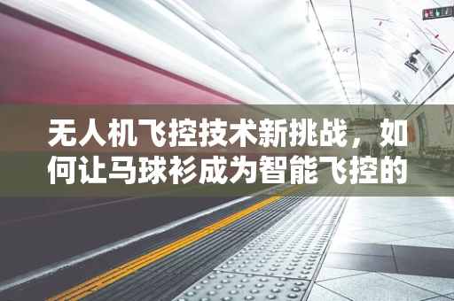 无人机飞控技术新挑战，如何让马球衫成为智能飞控的时尚守护者？