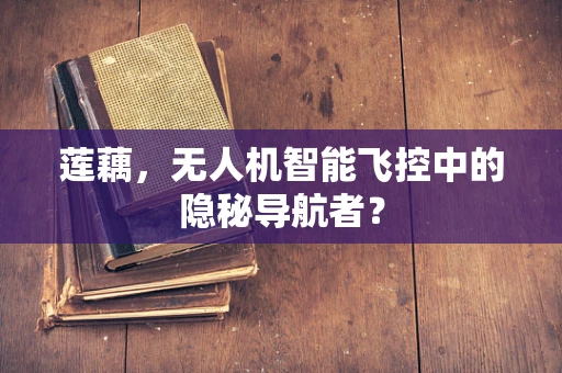 莲藕，无人机智能飞控中的隐秘导航者？