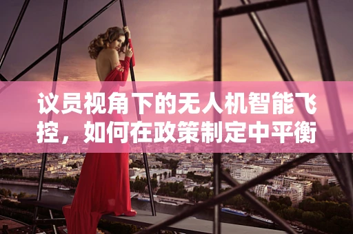 议员视角下的无人机智能飞控，如何在政策制定中平衡创新与安全？