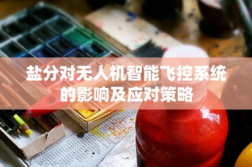 盐分对无人机智能飞控系统的影响及应对策略