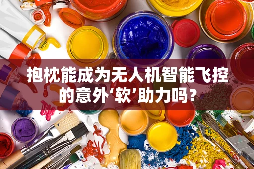 抱枕能成为无人机智能飞控的意外‘软’助力吗？