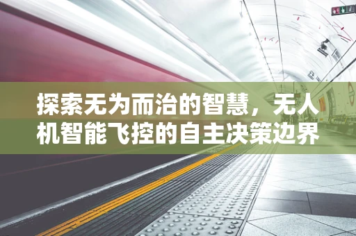 探索无为而治的智慧，无人机智能飞控的自主决策边界