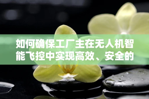 如何确保工厂主在无人机智能飞控中实现高效、安全的生产监控？