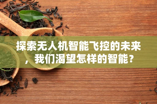 探索无人机智能飞控的未来，我们渴望怎样的智能？
