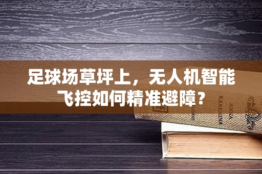 足球场草坪上，无人机智能飞控如何精准避障？