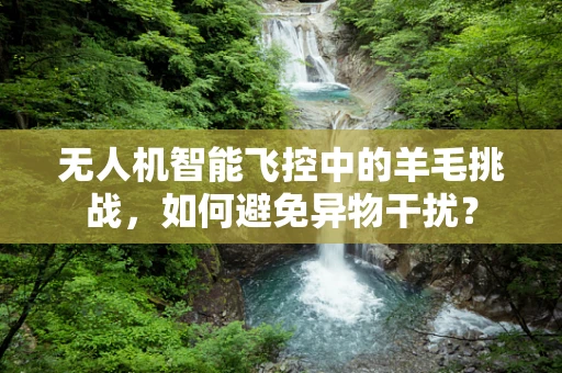 无人机智能飞控中的羊毛挑战，如何避免异物干扰？