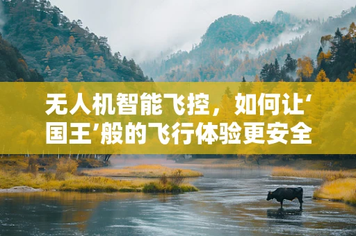 无人机智能飞控，如何让‘国王’般的飞行体验更安全、更智能？