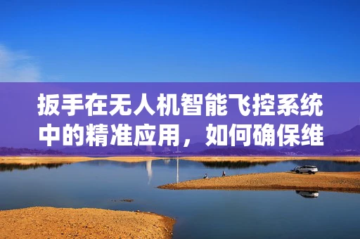 扳手在无人机智能飞控系统中的精准应用，如何确保维护的精确性？