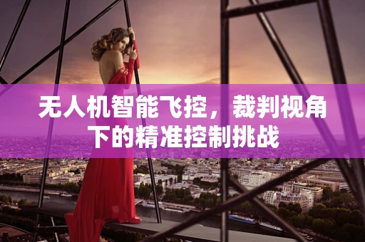 无人机智能飞控，裁判视角下的精准控制挑战