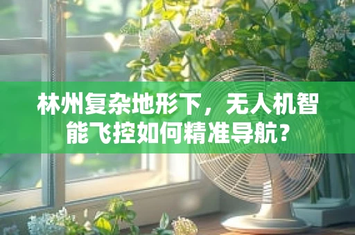林州复杂地形下，无人机智能飞控如何精准导航？
