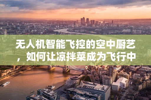 无人机智能飞控的空中厨艺，如何让凉拌菜成为飞行中的美味？