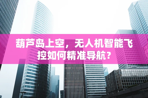 葫芦岛上空，无人机智能飞控如何精准导航？