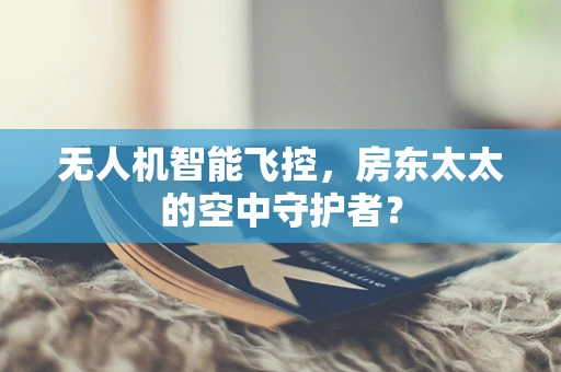 无人机智能飞控，房东太太的空中守护者？