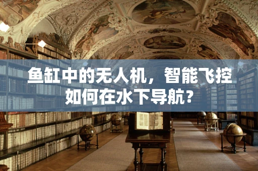 鱼缸中的无人机，智能飞控如何在水下导航？