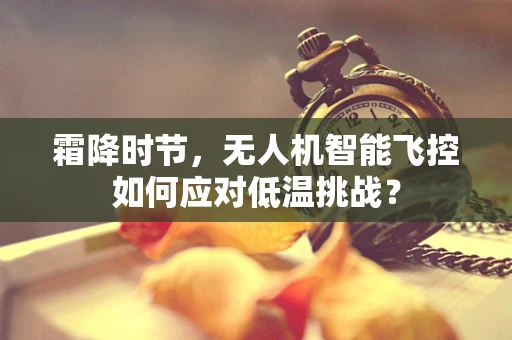 霜降时节，无人机智能飞控如何应对低温挑战？