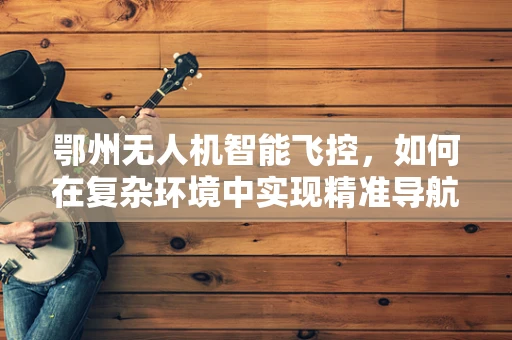 鄂州无人机智能飞控，如何在复杂环境中实现精准导航？