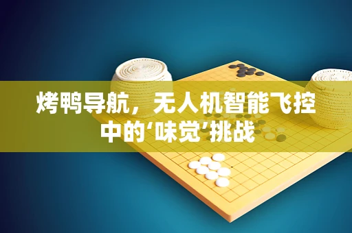 烤鸭导航，无人机智能飞控中的‘味觉’挑战