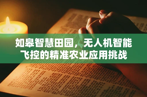 如皋智慧田园，无人机智能飞控的精准农业应用挑战