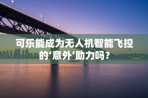 可乐能成为无人机智能飞控的‘意外’助力吗？
