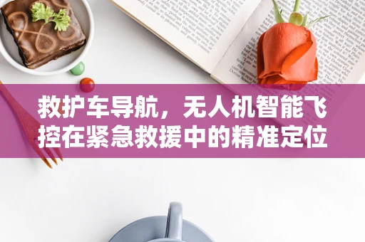 救护车导航，无人机智能飞控在紧急救援中的精准定位挑战