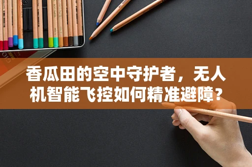 香瓜田的空中守护者，无人机智能飞控如何精准避障？