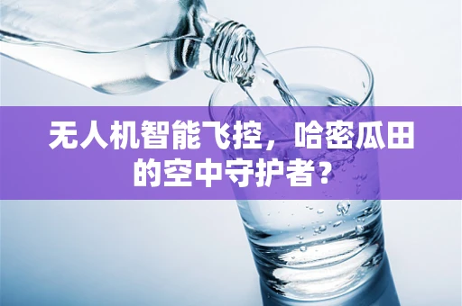 无人机智能飞控，哈密瓜田的空中守护者？