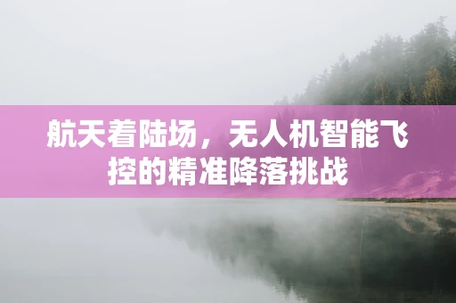 航天着陆场，无人机智能飞控的精准降落挑战