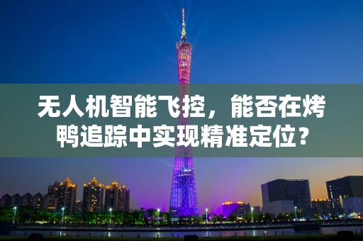无人机智能飞控，能否在烤鸭追踪中实现精准定位？