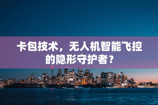 卡包技术，无人机智能飞控的隐形守护者？