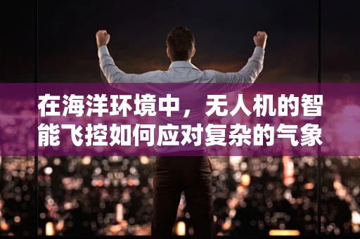 在海洋环境中，无人机的智能飞控如何应对复杂的气象条件？