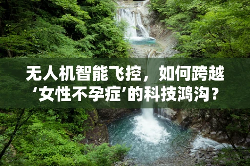 无人机智能飞控，如何跨越‘女性不孕症’的科技鸿沟？