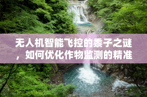 无人机智能飞控的黍子之谜，如何优化作物监测的精准度？