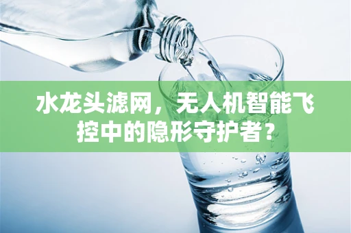 水龙头滤网，无人机智能飞控中的隐形守护者？