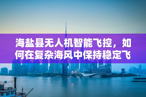 海盐县无人机智能飞控，如何在复杂海风中保持稳定飞行？