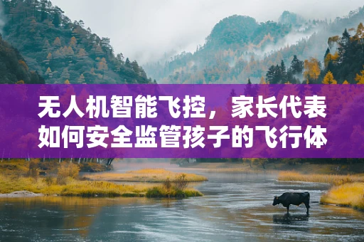 无人机智能飞控，家长代表如何安全监管孩子的飞行体验？
