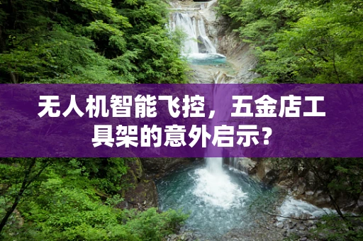 无人机智能飞控，五金店工具架的意外启示？