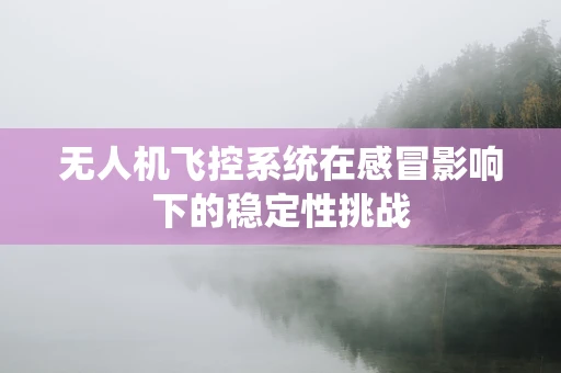 无人机飞控系统在感冒影响下的稳定性挑战