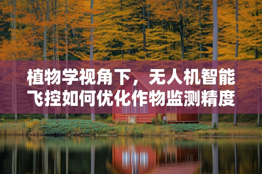 植物学视角下，无人机智能飞控如何优化作物监测精度？