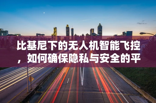 比基尼下的无人机智能飞控，如何确保隐私与安全的平衡？