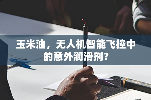玉米油，无人机智能飞控中的意外润滑剂？