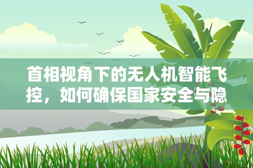 首相视角下的无人机智能飞控，如何确保国家安全与隐私的双重保障？