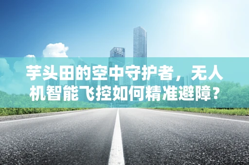 芋头田的空中守护者，无人机智能飞控如何精准避障？