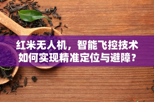 红米无人机，智能飞控技术如何实现精准定位与避障？