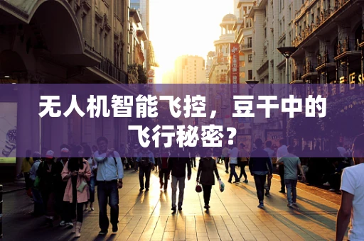 无人机智能飞控，豆干中的飞行秘密？