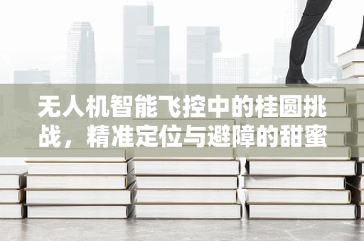 无人机智能飞控中的桂圆挑战，精准定位与避障的甜蜜难题