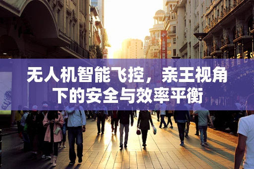 无人机智能飞控，亲王视角下的安全与效率平衡