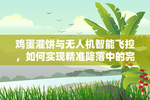 鸡蛋灌饼与无人机智能飞控，如何实现精准降落中的完美灌饼？